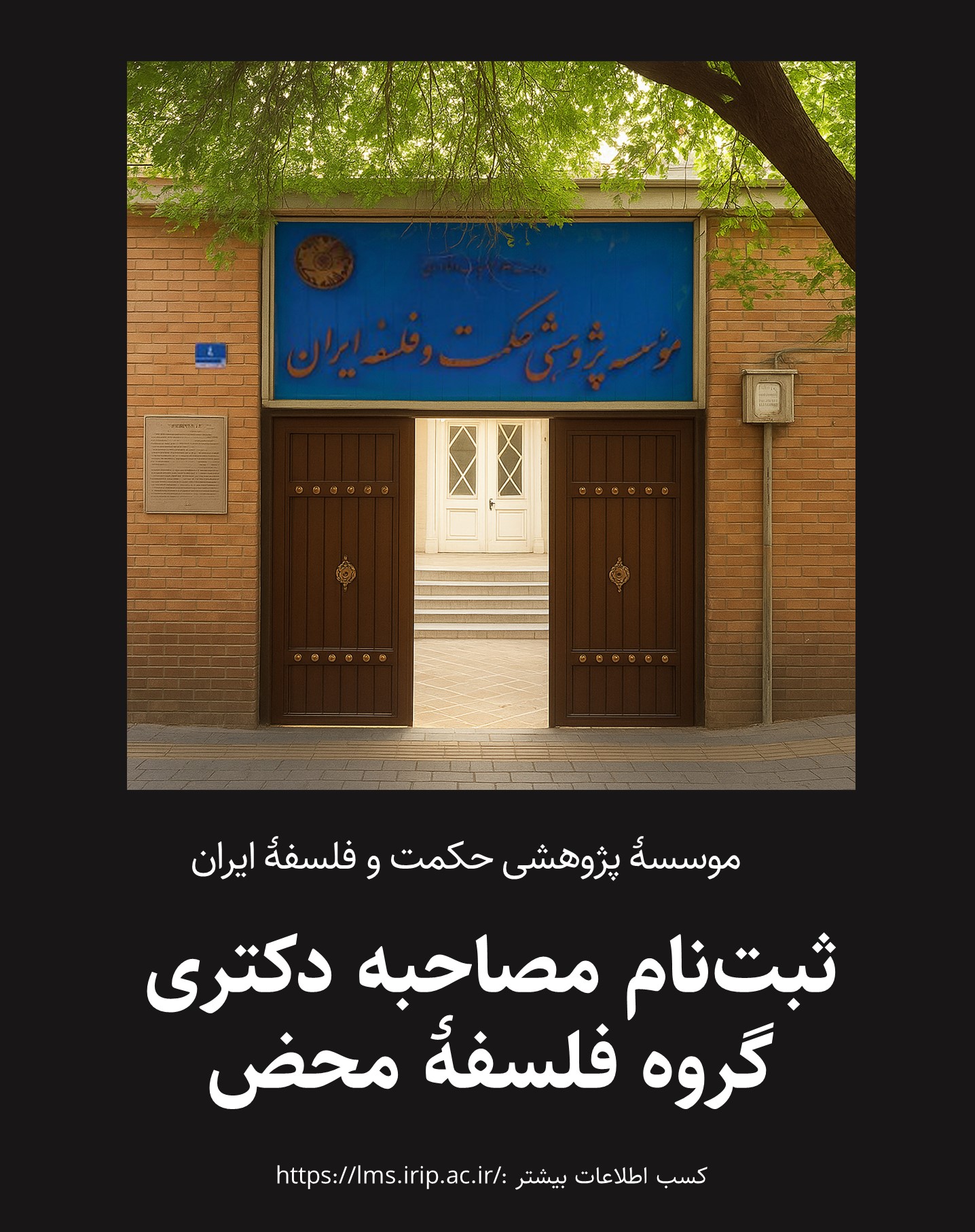 گروه فلسفه محض